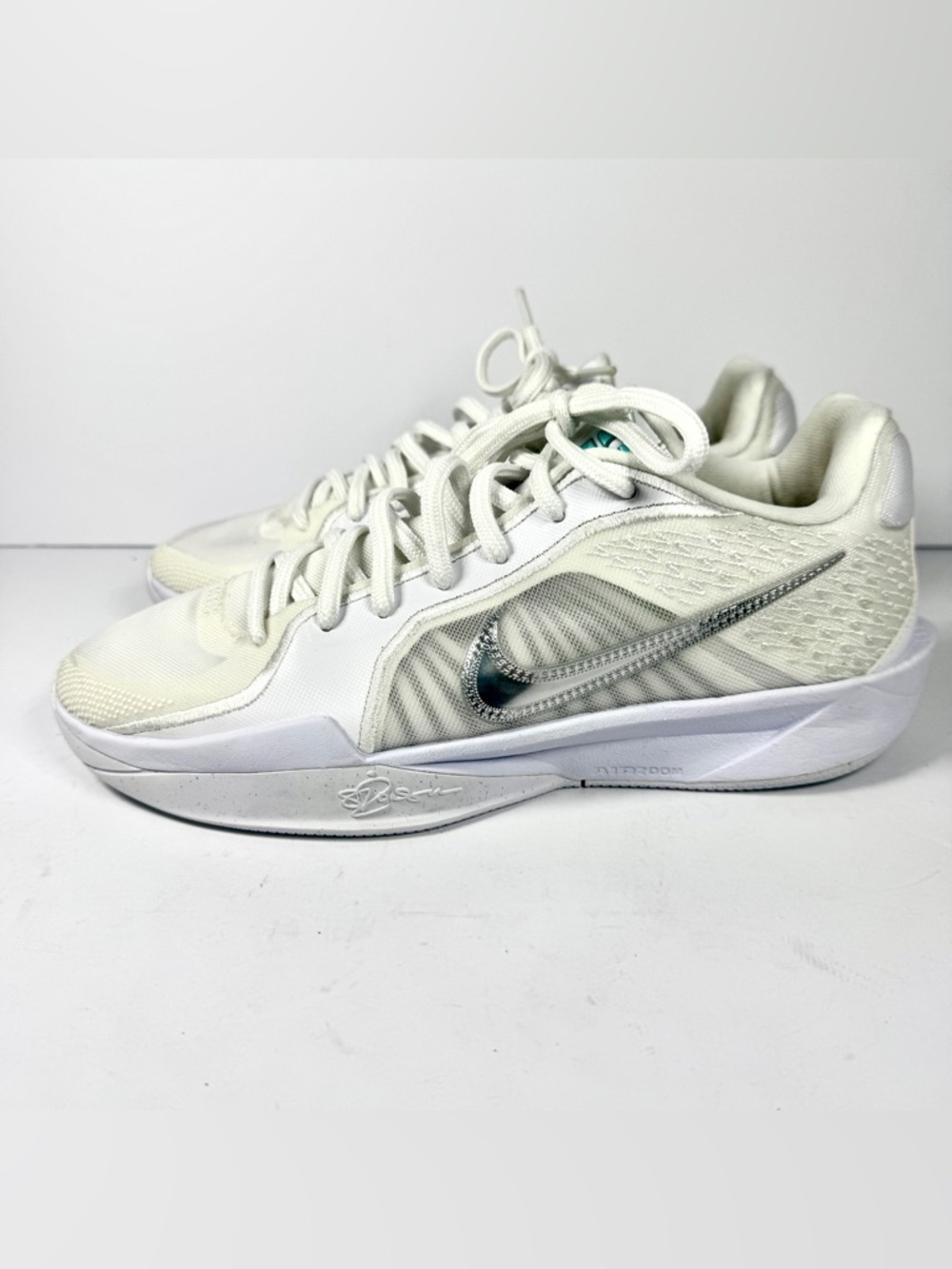 Nike White with Silver Swoosh Low-Top Sneakers